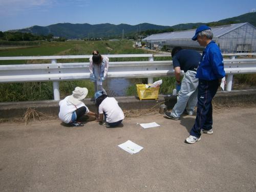 平成29年度「身近な水環境の全国一斉調査」に参加協力しました(6月3日)