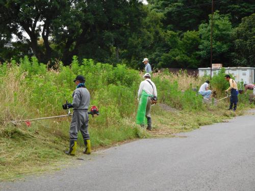 霞ヶ浦医療センター内の除草作業