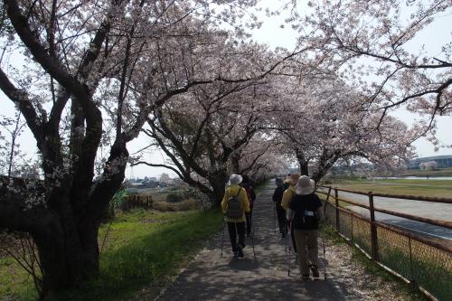 のる・都和例会4月1日