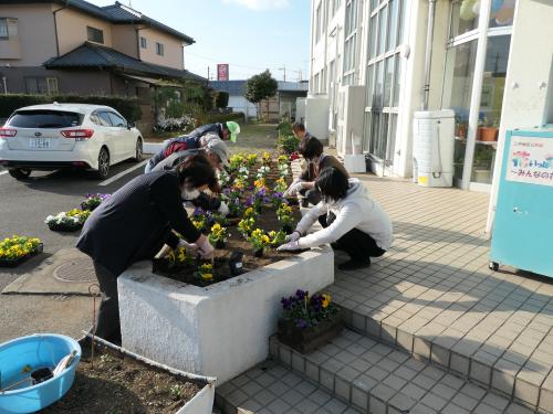 公民館花壇にパンジーを植えました