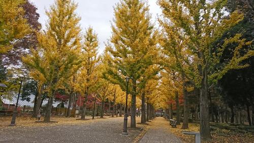 のる・都和例会 12月2日