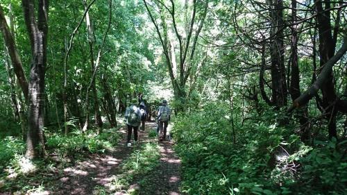 のる・都和例会 6月